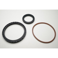 Kit Retentor Cubo Traseiro Scania 114/124 30499