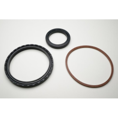 Kit Retentor Cubo Traseiro Scania 114/124 30499