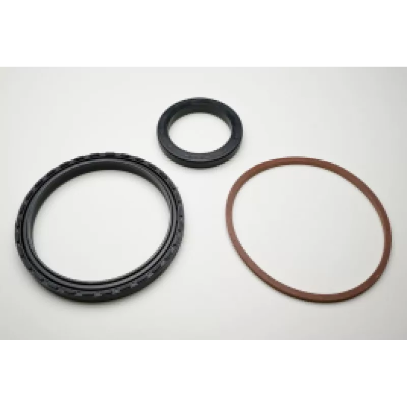 Kit Retentor Cubo Traseiro Scania 114/124 30499