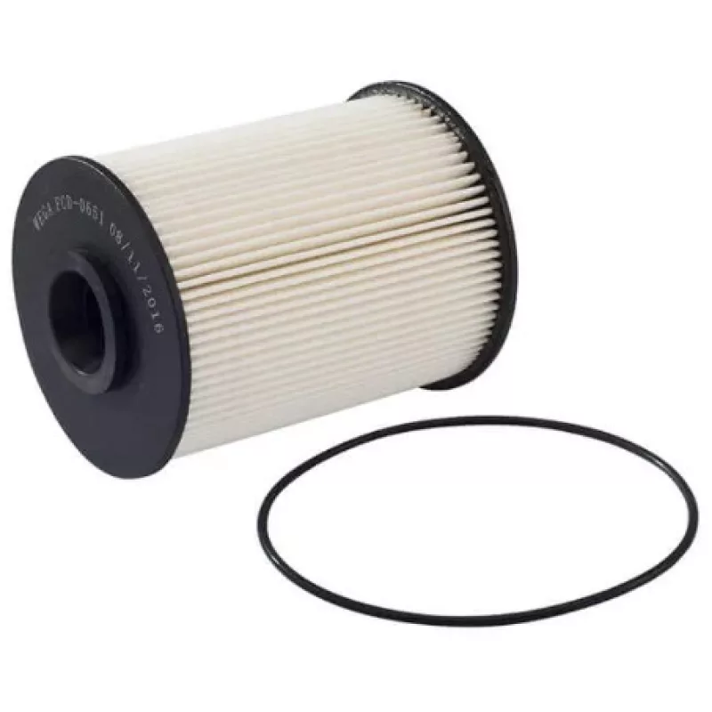 Filtro De Combustivel Dodge Ram Fcd0651
