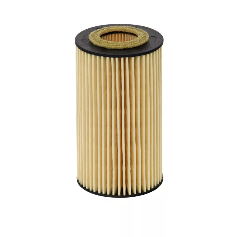 Filtro Oleo E11h D204