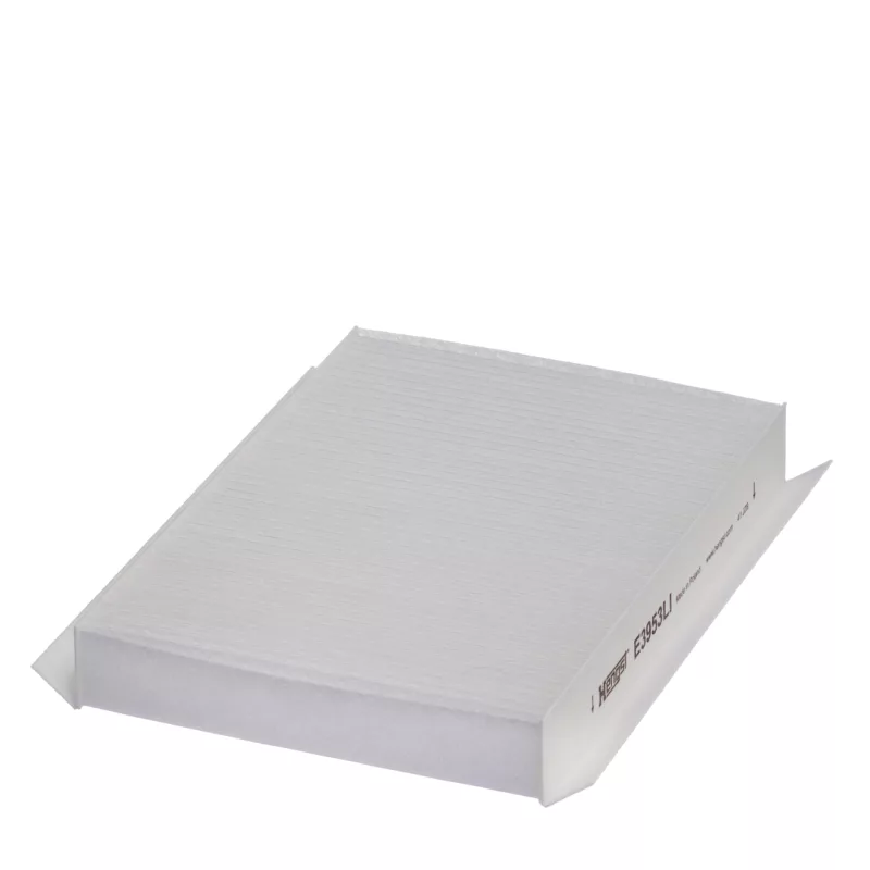 Filtro Ar Hengst E3953li