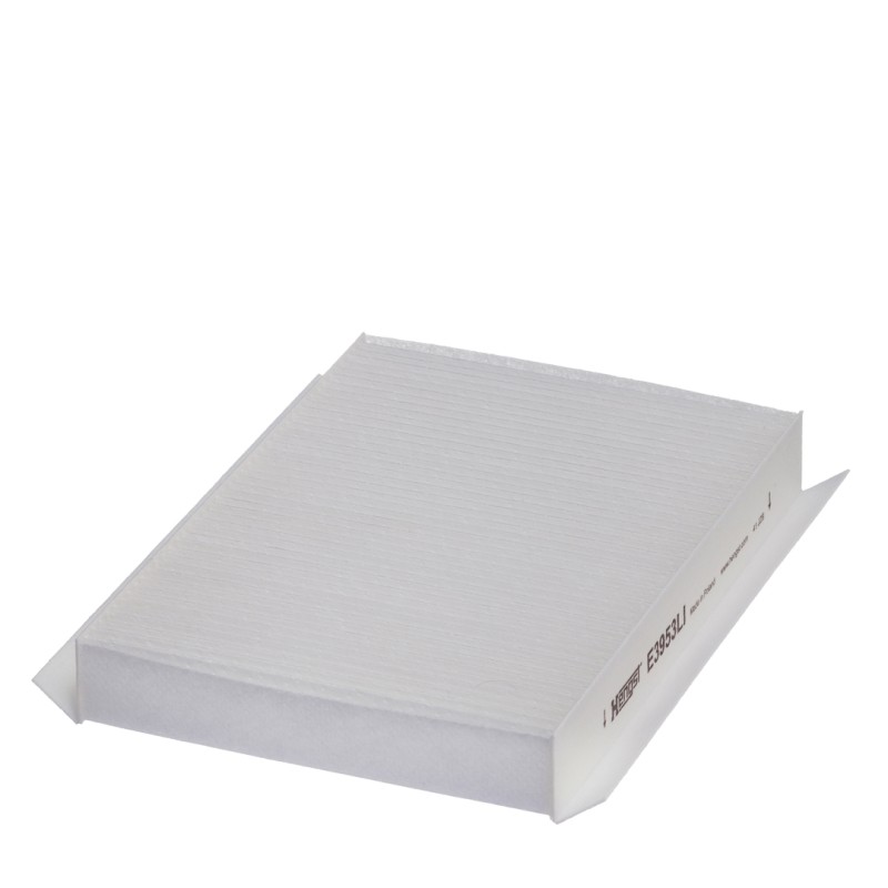 Filtro Ar Hengst E3953li