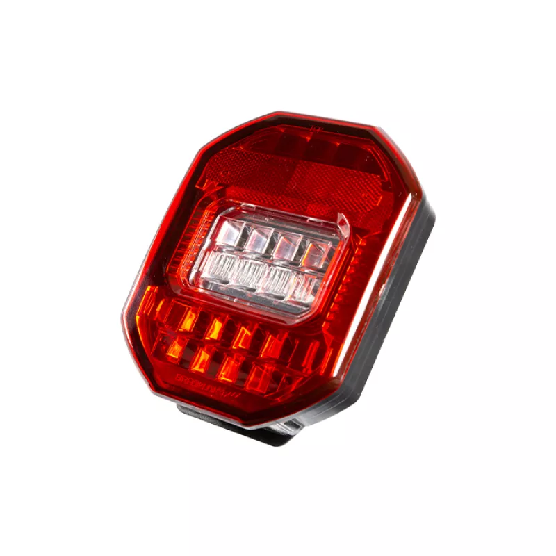 Lanterna Traseira Led Cargo/vw Braslux Mf Ii C/luz Placa 12/24v