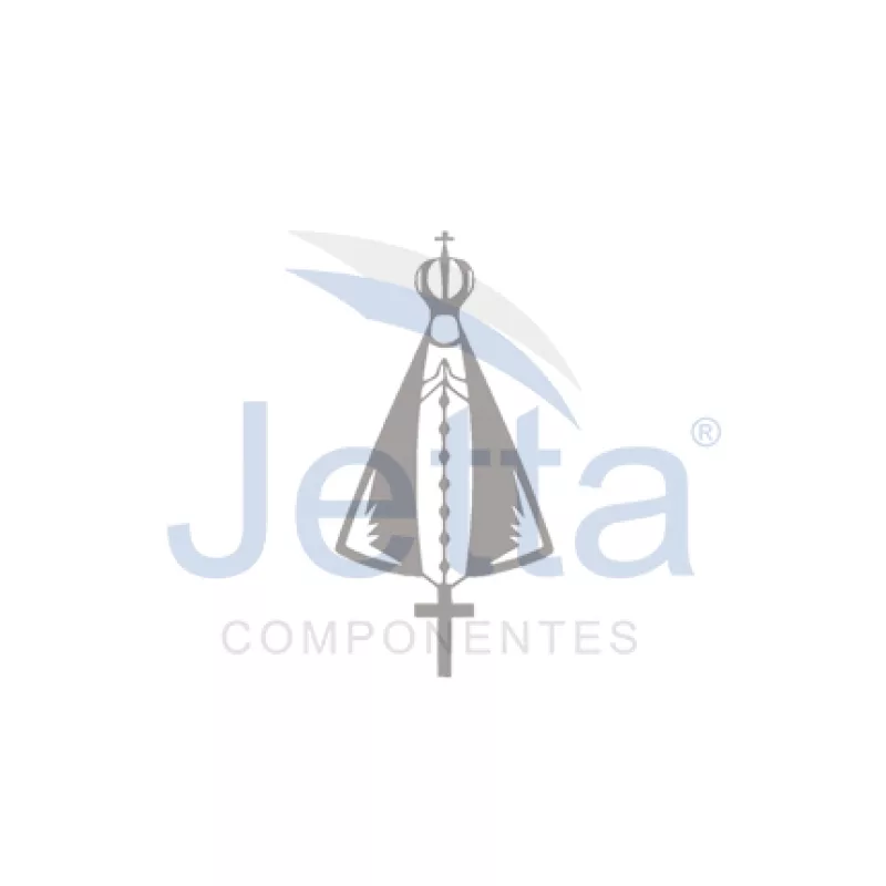 Aplique Inox  Decorativo Nosso Sr. Aparecida 2512e