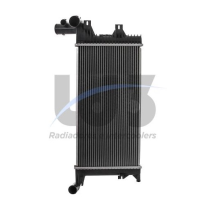 Radiador Agua Auxiliar Mb S/lateral