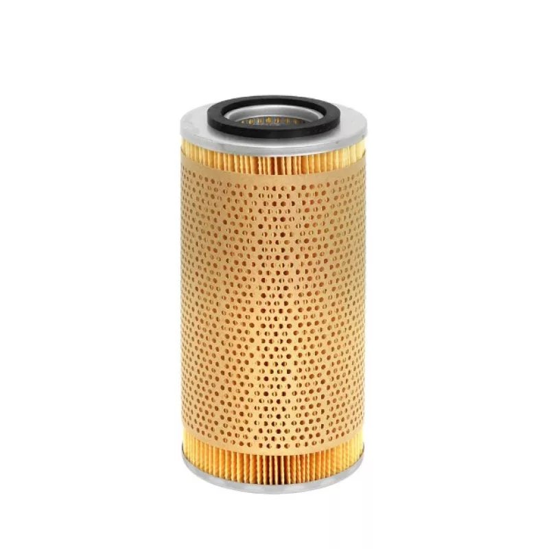 Filtro Oleo Hengst E251h D11***