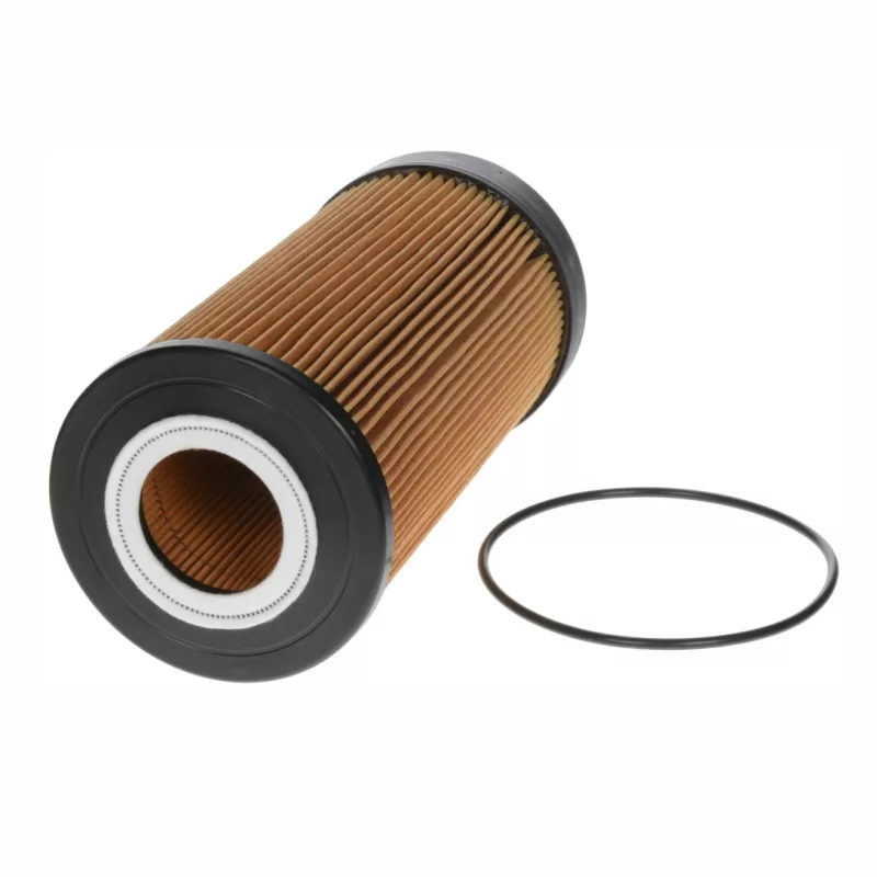 Filtro Óleo Ch9558