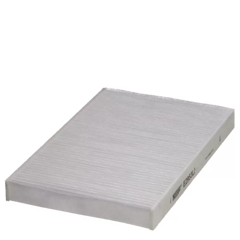 Filtro Ar Hengst E2953li