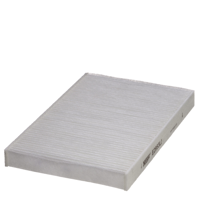 Filtro Ar Hengst E2953li