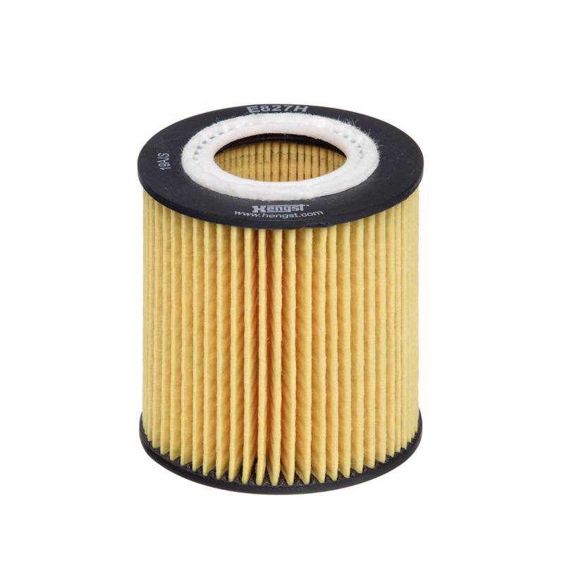 Filtro Oleo E827h D270