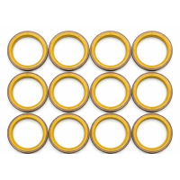 KIT 12 RETENTOR CUBO CARRETA BZ AUTOMOTIVE