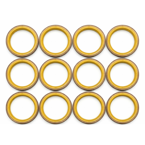 KIT 12 RETENTOR CUBO CARRETA BZ AUTOMOTIVE